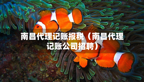 南昌代理記賬報(bào)稅（南昌代理記賬公司招聘）