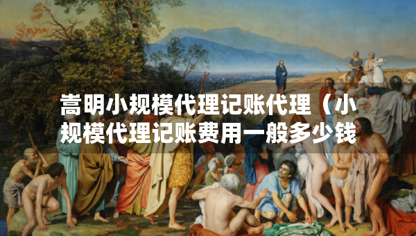 嵩明小規(guī)模代理記賬代理（小規(guī)模代理記賬費(fèi)用一般多少錢一個(gè)月）