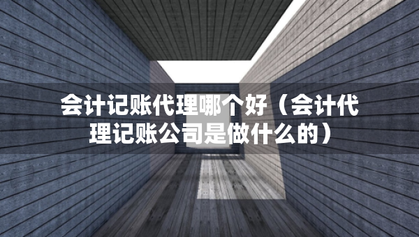 會(huì)計(jì)記賬代理哪個(gè)好（會(huì)計(jì)代理記賬公司是做什么的）