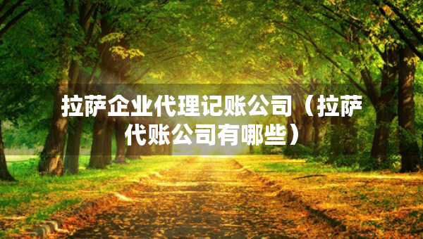 拉薩企業(yè)代理記賬公司（拉薩代賬公司有哪些）