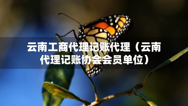 云南工商代理記賬代理（云南代理記賬協(xié)會(huì)會(huì)員單位）