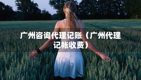 廣州咨詢代理記賬（廣州代理記帳收費）