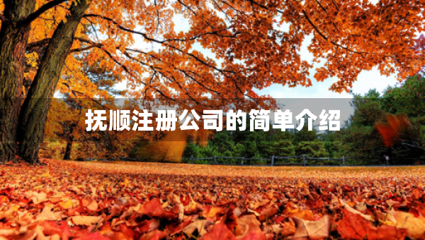 撫順注冊(cè)公司的簡(jiǎn)單介紹