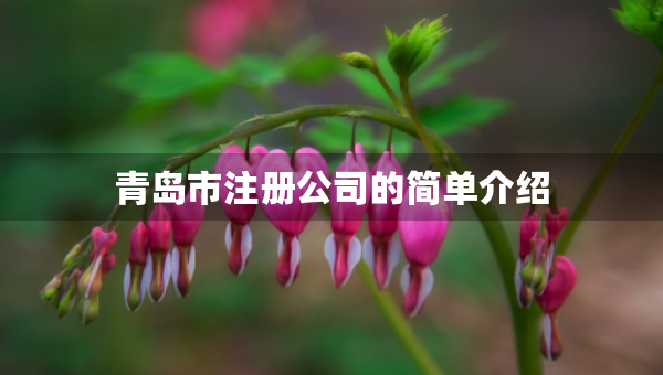 青島市注冊公司的簡單介紹