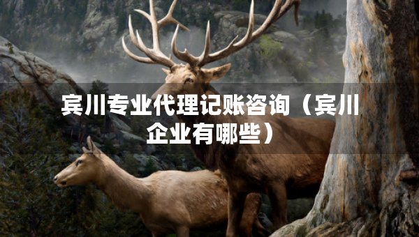 賓川專業(yè)代理記賬咨詢（賓川企業(yè)有哪些）