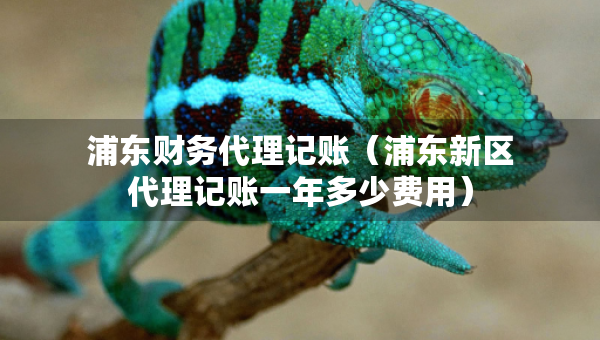 浦東財(cái)務(wù)代理記賬（浦東新區(qū)代理記賬一年多少費(fèi)用）