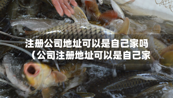 注冊(cè)公司地址可以是自己家嗎（公司注冊(cè)地址可以是自己家嗎?）