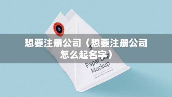 想要注冊公司（想要注冊公司怎么起名字）
