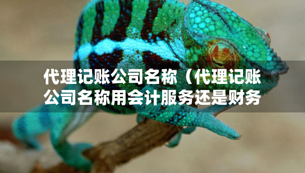 代理記賬公司名稱（代理記賬公司名稱用會(huì)計(jì)服務(wù)還是財(cái)務(wù)咨詢）