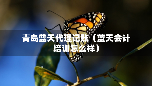 青島藍(lán)天代理記賬（藍(lán)天會(huì)計(jì)培訓(xùn)怎么樣）