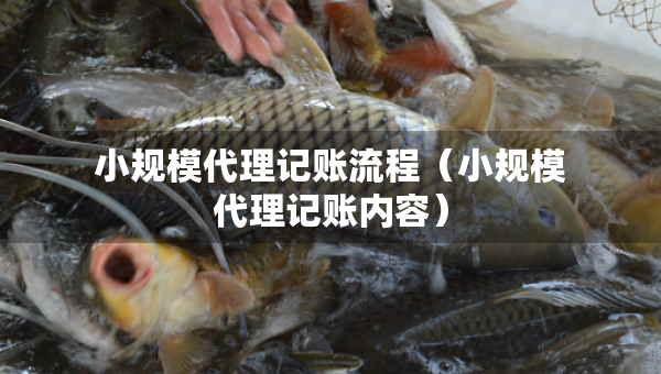 小規(guī)模代理記賬流程（小規(guī)模代理記賬內容）