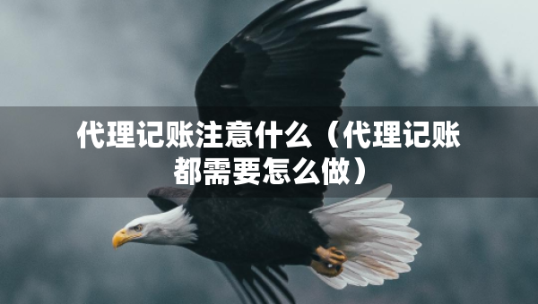 代理記賬注意什么（代理記賬都需要怎么做）