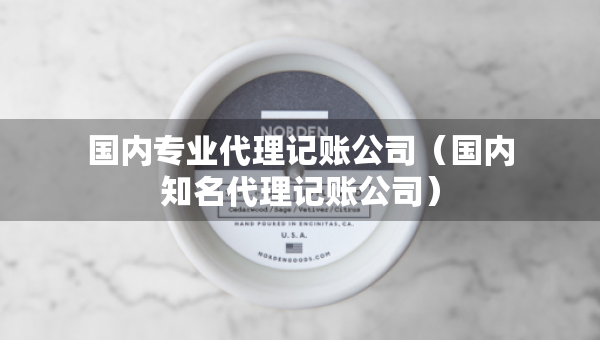 國(guó)內(nèi)專業(yè)代理記賬公司（國(guó)內(nèi)知名代理記賬公司）