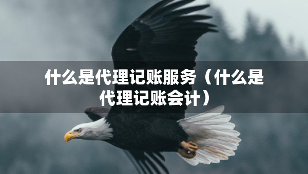什么是代理記賬服務（什么是代理記賬會計）