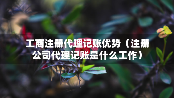 工商注冊(cè)代理記賬優(yōu)勢(shì)（注冊(cè)公司代理記賬是什么工作）