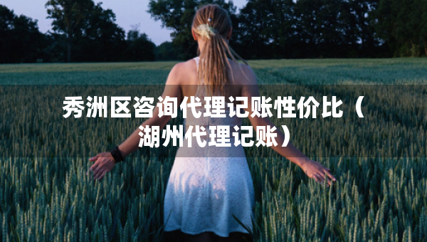 秀洲區(qū)咨詢代理記賬性價比（湖州代理記賬）