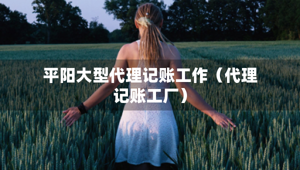 平陽大型代理記賬工作（代理記賬工廠）