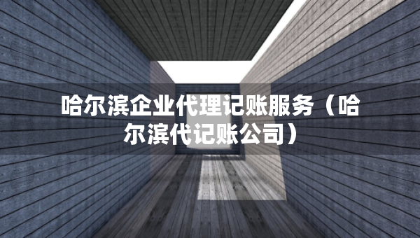 哈爾濱企業(yè)代理記賬服務(wù)（哈爾濱代記賬公司）