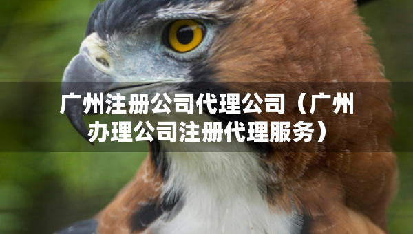 廣州注冊公司代理公司（廣州辦理公司注冊代理服務(wù)）