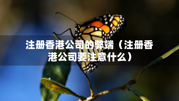 注冊香港公司的弊端（注冊香港公司要注意什么）