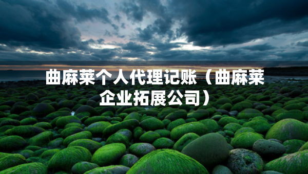 曲麻萊個(gè)人代理記賬（曲麻萊企業(yè)拓展公司）