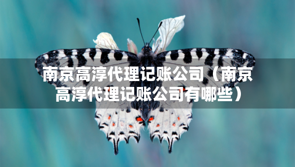 南京高淳代理記賬公司（南京高淳代理記賬公司有哪些）
