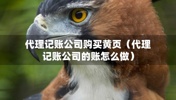 代理記賬公司購買黃頁（代理記賬公司的賬怎么做）