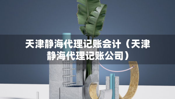 天津靜海代理記賬會計（天津靜海代理記賬公司）