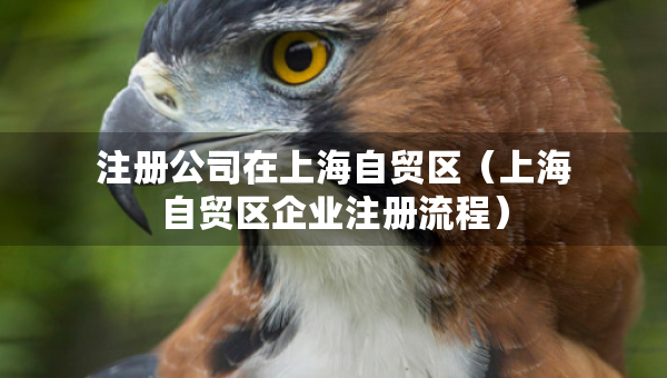 注冊(cè)公司在上海自貿(mào)區(qū)（上海自貿(mào)區(qū)企業(yè)注冊(cè)流程）