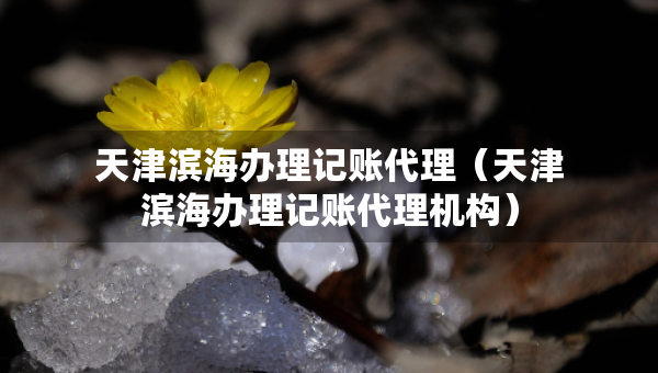 天津濱海辦理記賬代理（天津濱海辦理記賬代理機構）