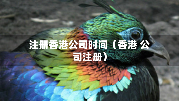 注冊香港公司時間（香港 公司注冊）