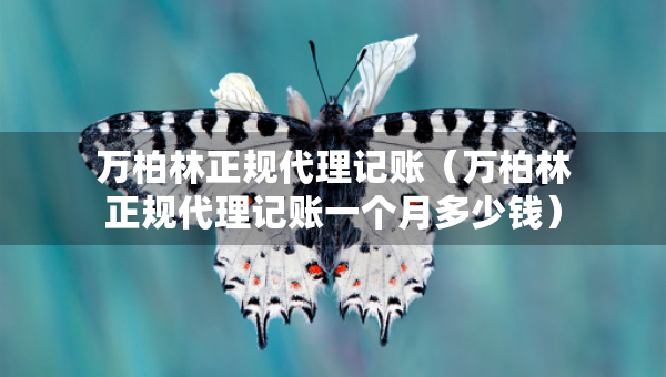 萬(wàn)柏林正規(guī)代理記賬（萬(wàn)柏林正規(guī)代理記賬一個(gè)月多少錢）