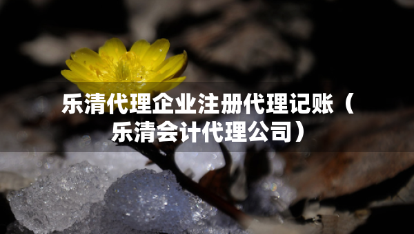 樂清代理企業(yè)注冊代理記賬（樂清會計代理公司）