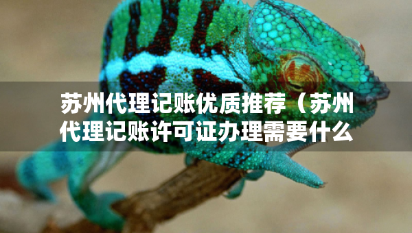 蘇州代理記賬優(yōu)質推薦（蘇州代理記賬許可證辦理需要什么條件）