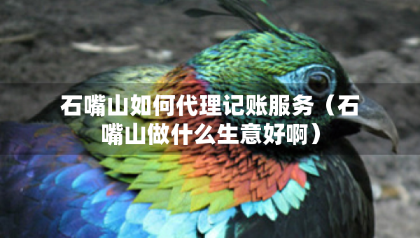 石嘴山如何代理記賬服務(wù)（石嘴山做什么生意好?。? title=