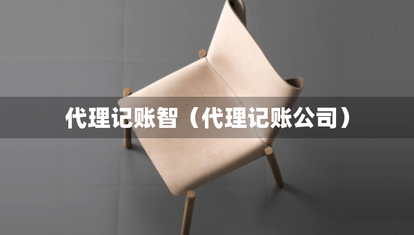 代理記賬智（代理記賬公司）