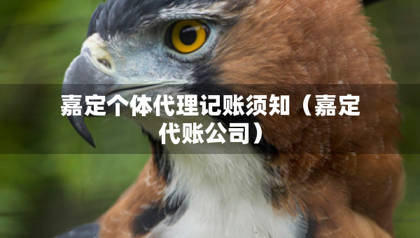 嘉定個(gè)體代理記賬須知（嘉定代賬公司）