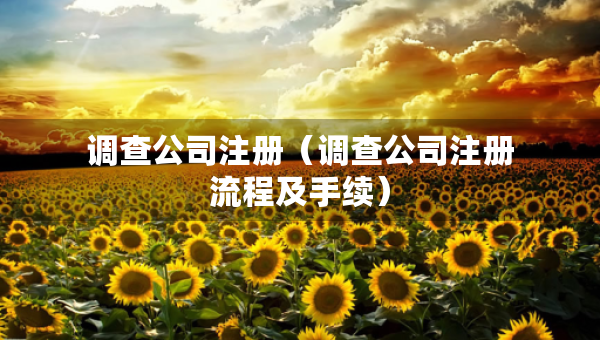 調(diào)查公司注冊（調(diào)查公司注冊流程及手續(xù)）