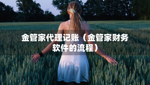 金管家代理記賬（金管家財務軟件的流程）