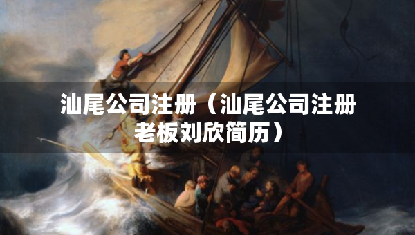 汕尾公司注冊(cè)（汕尾公司注冊(cè)老板劉欣簡(jiǎn)歷）