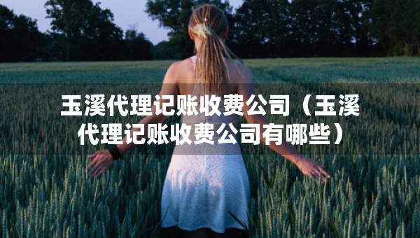 玉溪代理記賬收費(fèi)公司（玉溪代理記賬收費(fèi)公司有哪些）