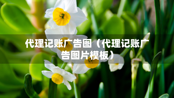 代理記賬廣告圖（代理記賬廣告圖片模板）