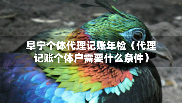 阜寧個體代理記賬年檢（代理記賬個體戶需要什么條件）