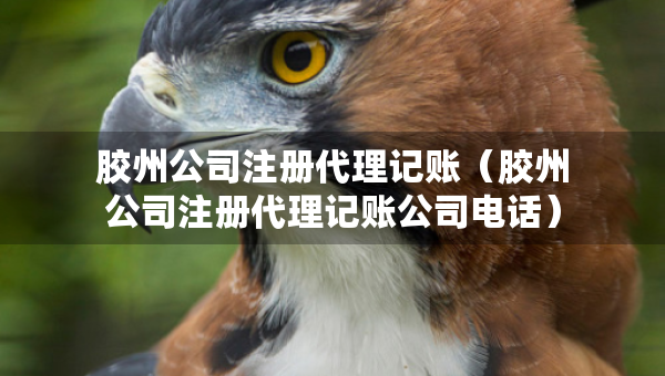 膠州公司注冊(cè)代理記賬（膠州公司注冊(cè)代理記賬公司電話）