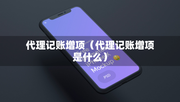 代理記賬增項(xiàng)（代理記賬增項(xiàng)是什么）