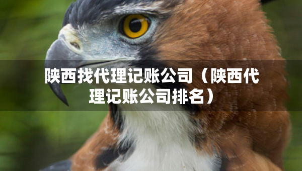 陜西找代理記賬公司（陜西代理記賬公司排名）