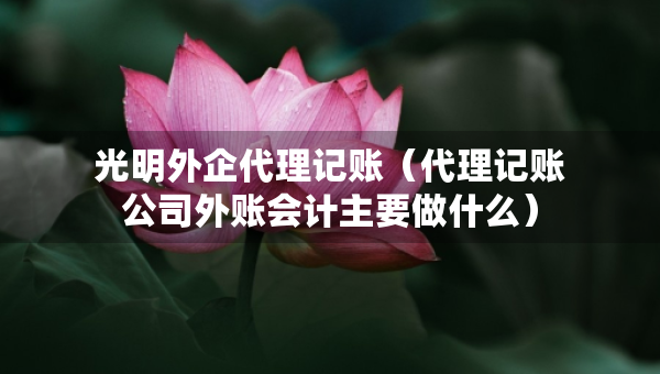 光明外企代理記賬（代理記賬公司外賬會計主要做什么）