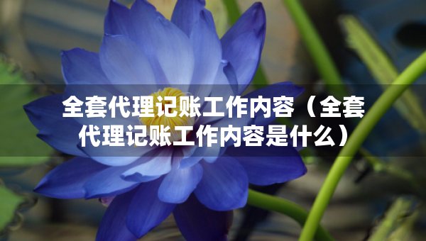 全套代理記賬工作內(nèi)容（全套代理記賬工作內(nèi)容是什么）