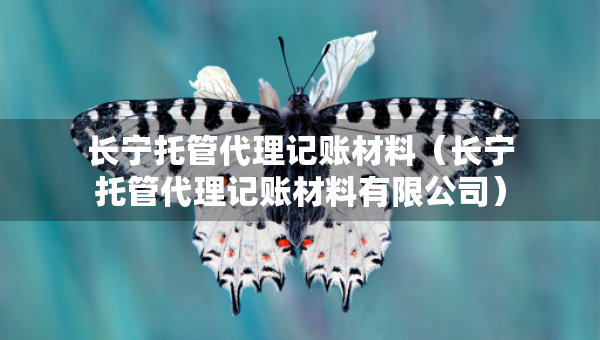 長(zhǎng)寧托管代理記賬材料（長(zhǎng)寧托管代理記賬材料有限公司）