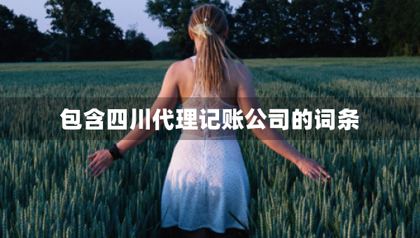 包含四川代理記賬公司的詞條